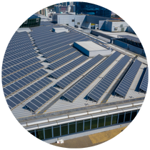 Untitled design 2025 05 07T131645.759